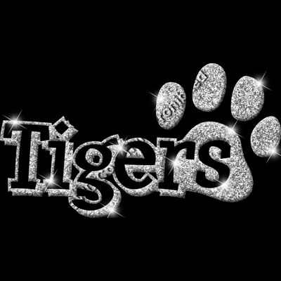 GLT17 SILVER GLITTER Thumbnail