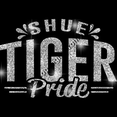 GLT62 SILVER GLITTER Thumbnail